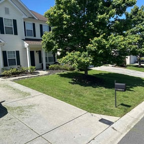 yard maintenance by Qclawncutter reviewed on August 18, 2025