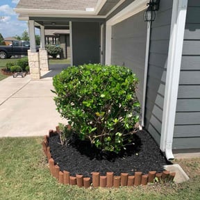 Bush Trimming by Nates Lawn Service reviewed on August 17, 2025