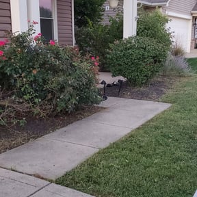 Flower Bed Weeding by Riders Lawn Care Services reviewed on August 21, 2025
