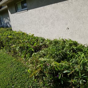 Bush Trimming by MMarshall's On the Fly Mowing reviewed on August 15, 2025