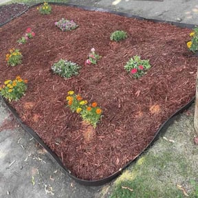 Mulching by Arca Landscaping reviewed on February 3, 2026