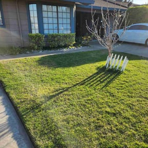 Bush Trimming by To The Rescue Landscaping and Hurricane Clean Up reviewed on August 17, 2025