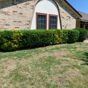 Bush Trimming by Gs lawn care reviewed on September 17, 2026