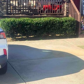 Bush Trimming by Copperhead lawn care reviewed on June 20, 2026
