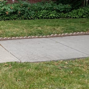 Bush Trimming by Pinedas lawn mowing pro reviewed on August 15, 2025
