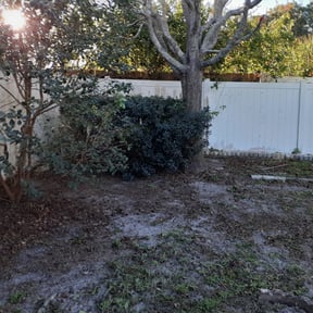 Bush Trimming by oak hill landscape reviewed on August 21, 2025