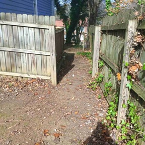 Leaf Removal by The Green Op reviewed on November 20, 2025