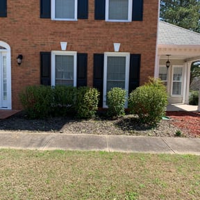 Bush Trimming by Fresh cut lawn care and snow removal reviewed on August 19, 2025