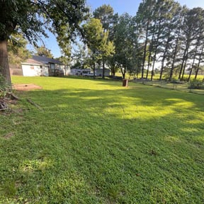 lawn care by Peaks Property Maintenance reviewed on November 9, 2022