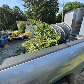 Bush Trimming by Renegade Lawn and Landscaping LLC reviewed on August 16, 2025