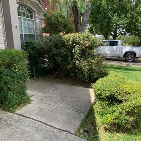 Bush Trimming by St Charles Services reviewed on August 18, 2025