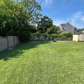 lawn care services by That Lawn Guy reviewed on July 5, 2018