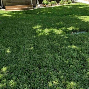 Leaf Removal by Lucas Lawn Care reviewed on September 12, 2025
