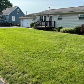 lawn care services by Mow Me Down reviewed on August 20, 2025