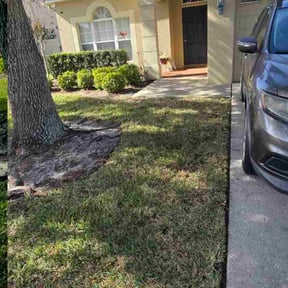 Leaf Removal by Sanjeev Singh Lawn Care reviewed on January 17, 2026