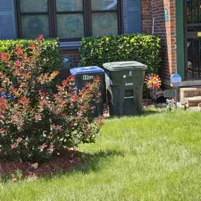 Bush Trimming by Nichols Lawn & Landscaping reviewed on August 19, 2025