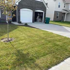 yard care by Roger W Ries reviewed on August 16, 2025