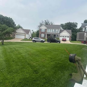 yard maintenance by Diego Mojica Lawn Care reviewed on August 16, 2025