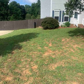 Bush Trimming by Green Horizon Lawn Care reviewed on August 20, 2026