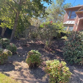 Bush Trimming by Roberts Cutting Edge LLC reviewed on December 23, 2025