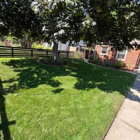 yard service by The Madrid&#039;s Of All Trades reviewed on November 24, 2025