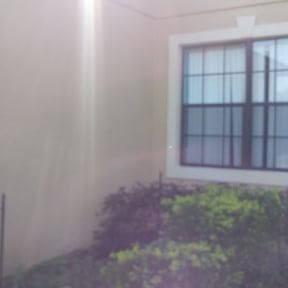 Bush Trimming by Martin Lawn Care LLC reviewed on August 19, 2025