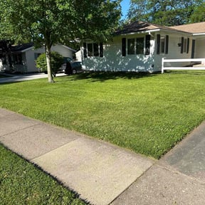 yard work by 66landscaping LLC reviewed on August 15, 2025