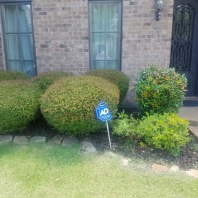 Bush Trimming by Top notch lawn services reviewed on August 15, 2025