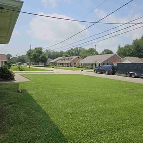 turf care by Innovative Property Services reviewed on May 17, 2024