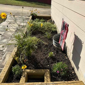 Flower Bed Weeding by Born Again Enterprises LLC reviewed on August 19, 2025