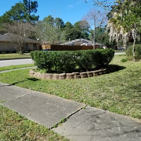 Bush Trimming by DMD LAWN RESCUE reviewed on September 28, 2023