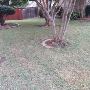 Bush Trimming by All Trim Lawn Services, Inc. reviewed on August 21, 2025