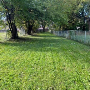 Bush Trimming by BrightSense LLC reviewed on September 22, 2023