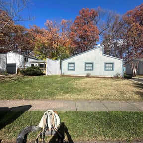 Leaf Removal by Dr.  Lawns reviewed on November 19, 2025