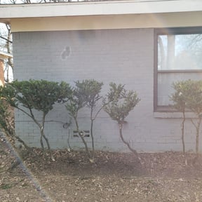 Bush Trimming by S & G Landscaping, Inc. reviewed on August 21, 2025