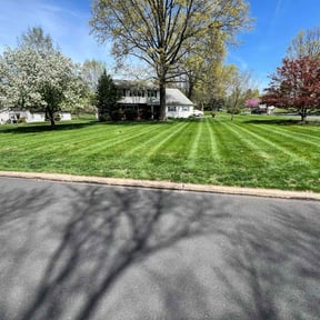 yard work by Cantu's Remodel & Restoration reviewed on August 18, 2025