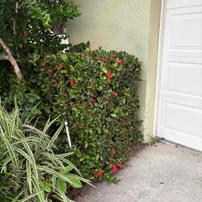 grass maintenance by Aaron&#039;s Lawn Care reviewed on April 30, 2024