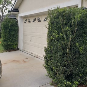 Bush Trimming by Greg&#039;s gardens reviewed on November 19, 2025