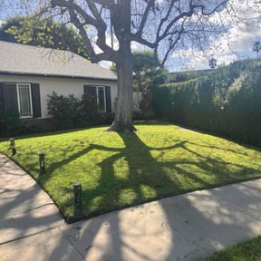 yard care by Landscaping Services reviewed on August 21, 2025