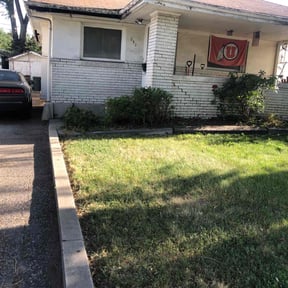 Bush Trimming by AMA Handyman Services LLC reviewed on August 19, 2025