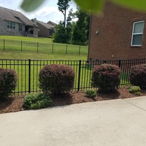 Bush Trimming by Tegridy Lawn and Home Care reviewed on August 17, 2025