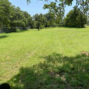landscaping by The Perfect Lawn reviewed on August 15, 2025