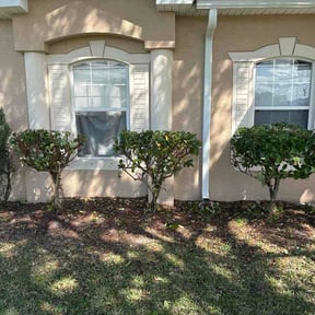 Bush Trimming by Zink Services reviewed on May 10, 2026