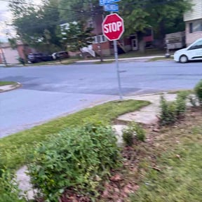 Bush Trimming by Spurrier Lawn Care reviewed on May 9, 2026