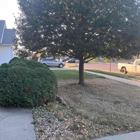 Bush Trimming by JM Lawn Care reviewed on November 30, 2025