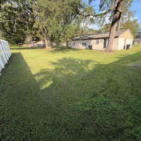 landscape maintenance by Moneytrain lawn service reviewed on August 15, 2025