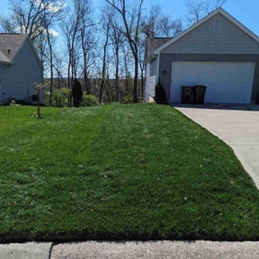 residential landscaping by Keep it green reviewed on August 15, 2025