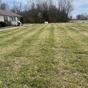 lawn service by Caldwell Capitals reviewed on July 30, 2023