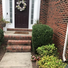 Bush Trimming by Elite Lawn Care reviewed on August 19, 2025