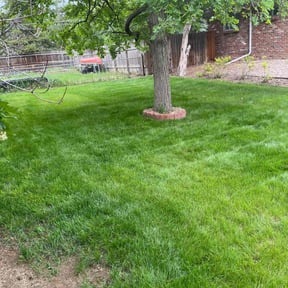 landscaping by Mcqueens lawn care reviewed on January 17, 2026